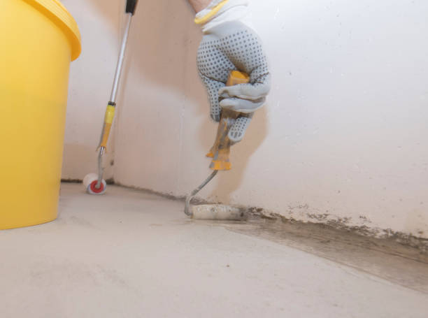 Best Fumigation Services  in St Johns, MI